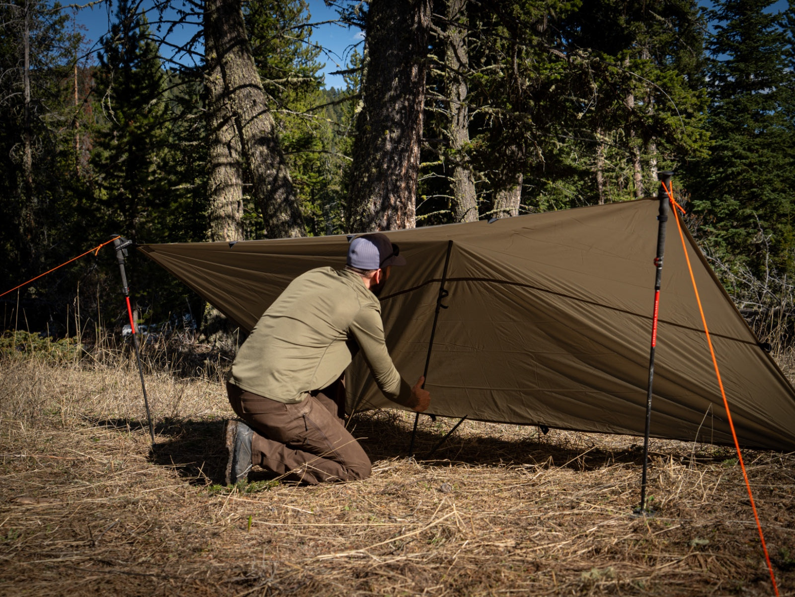 tarp rental SwitchBack Tarp- 1.1oz