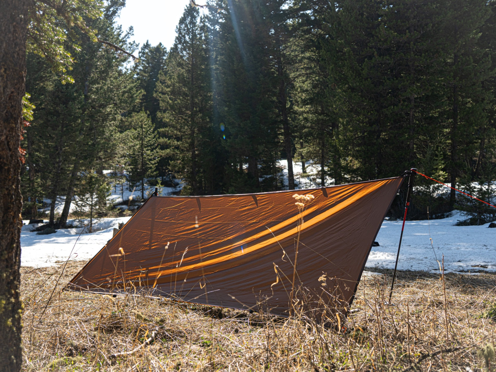 Baldy Mountain Tarp- 1.1oz - Rental