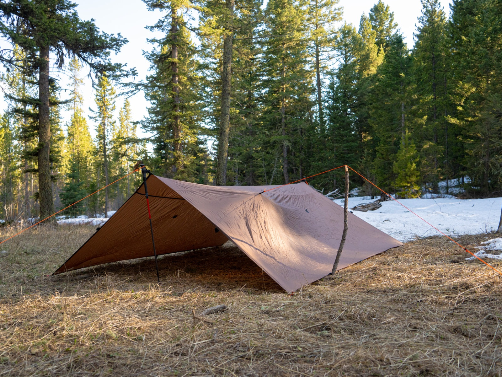 Timberline Tarp