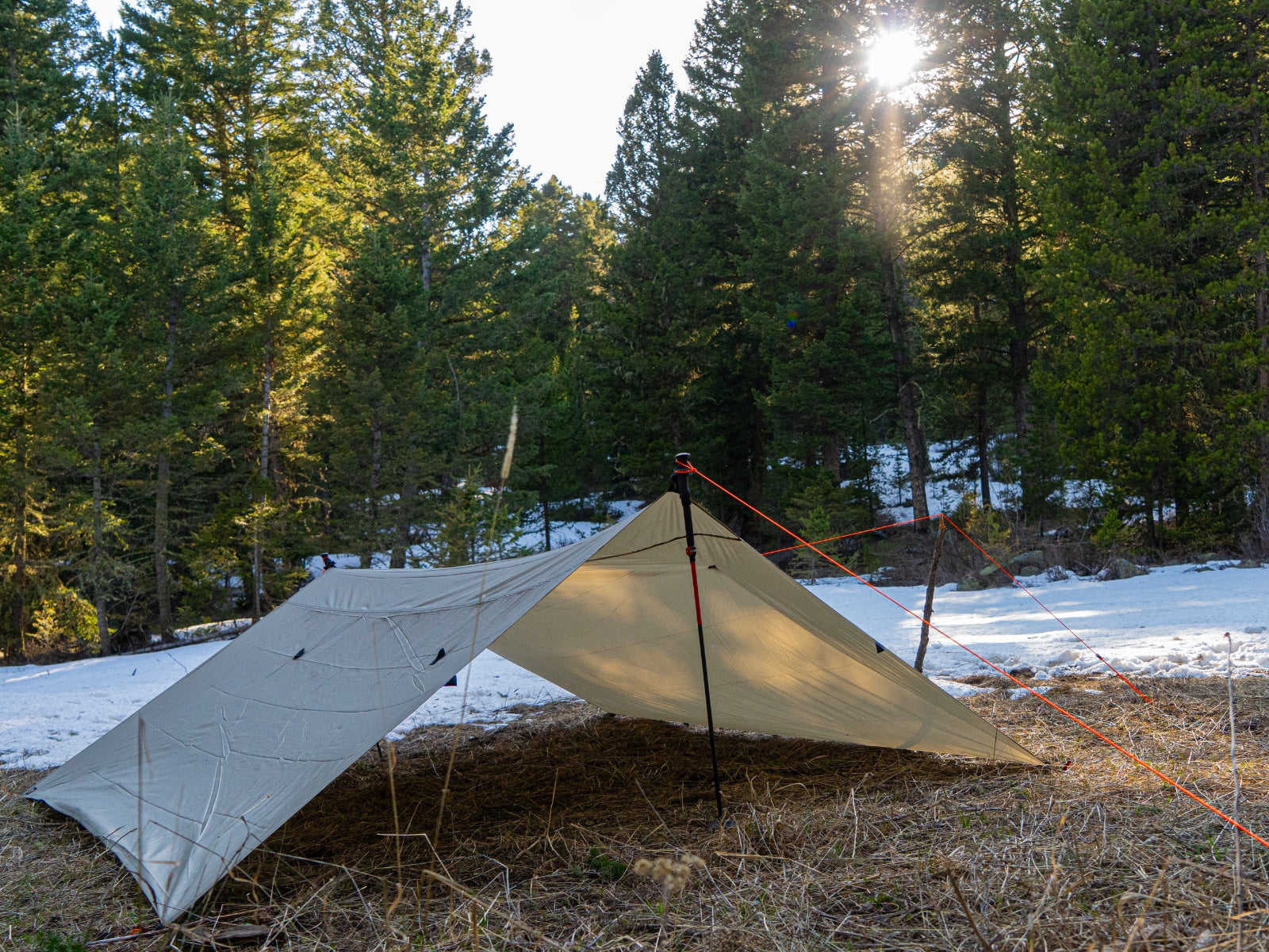 Timberline Tarp
