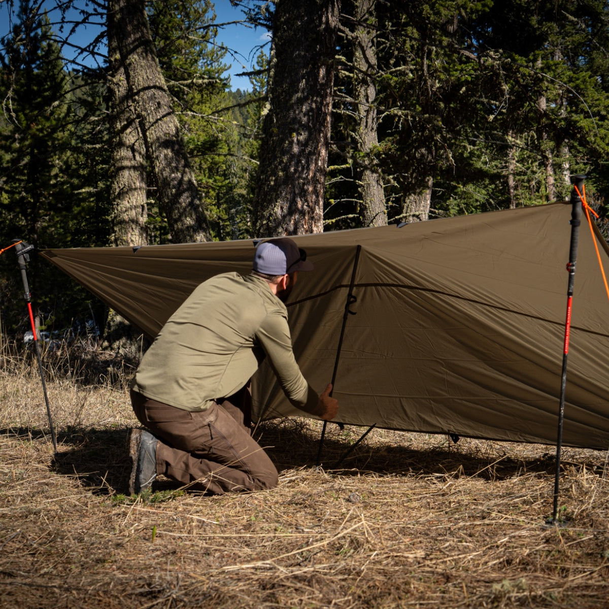 einwohnermeldeamt tarp SwitchBack Tarp- 1.1oz