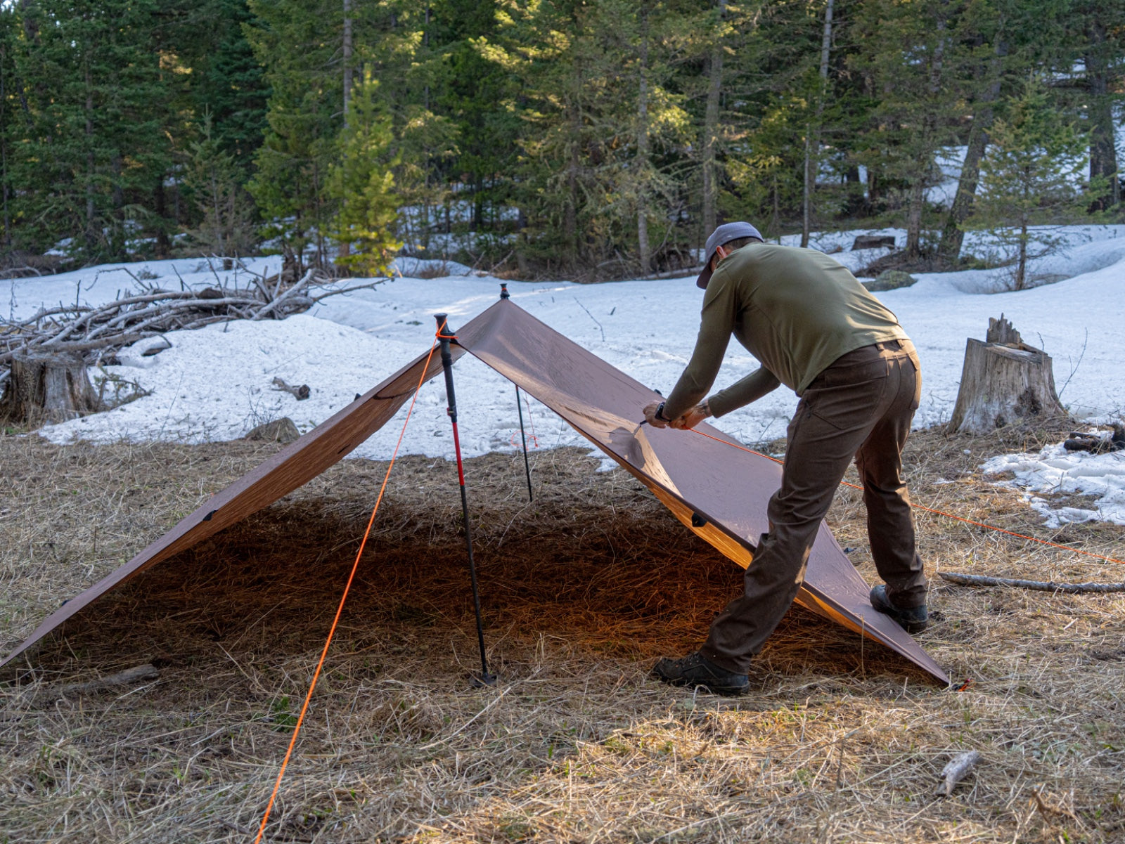 Timberline Tarp