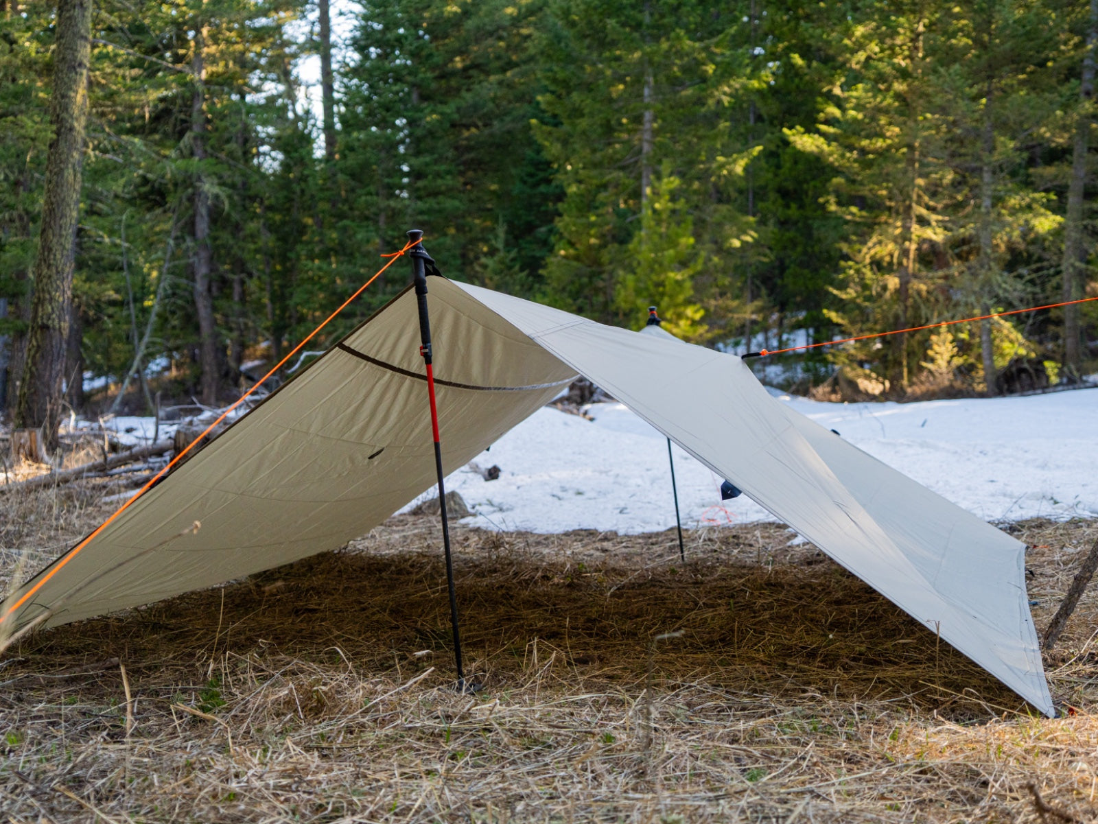 Timberline Tarp
